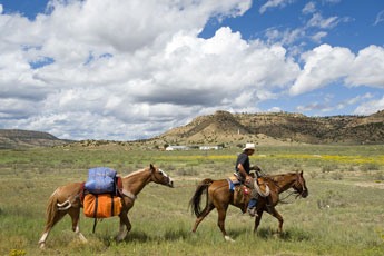 Johnny Warnshuis rides through the Manuelito area on Wednesday. Warnshuis is riding across the country on horseback from his home Redding, Calif. to raise awareness about cancer research. He's ridden 1600 miles on his journey so far. © 2011 Gallup Independent / Brian Leddy 